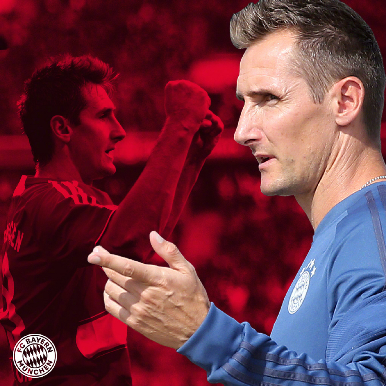 lovegame-包含孟菲斯灰熊发布备战花絮，今夜临场应变，德甲任务艰巨，赛程密集仍需轮换的词条-lovegame